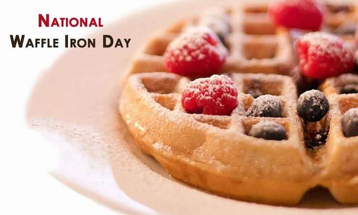 NATIONAL WAFFLE IRON DAY – June 29