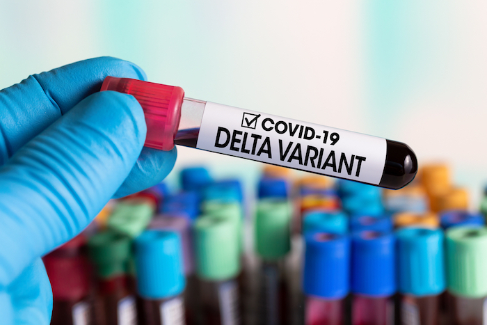 CDC UPDATE: Delta variant will become predominant COVID strain