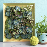 How to Make a Living Succulent Picture Frame That Playfully Blends Art and Nature