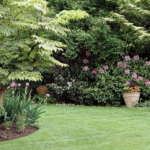 How to Repair Patchy, Bare Spots in Your Lawn