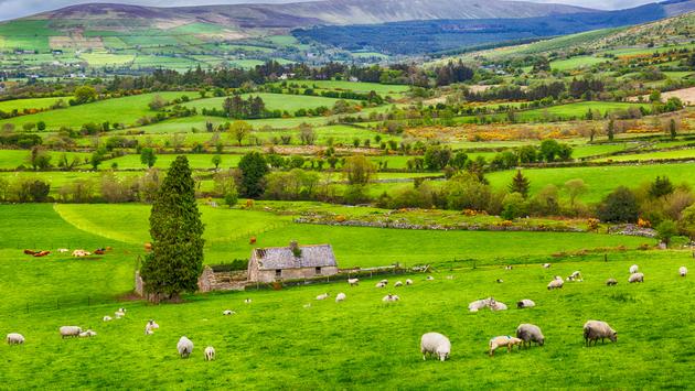 Ireland Soon Reopening To US Travelers: Here’s What To Expect