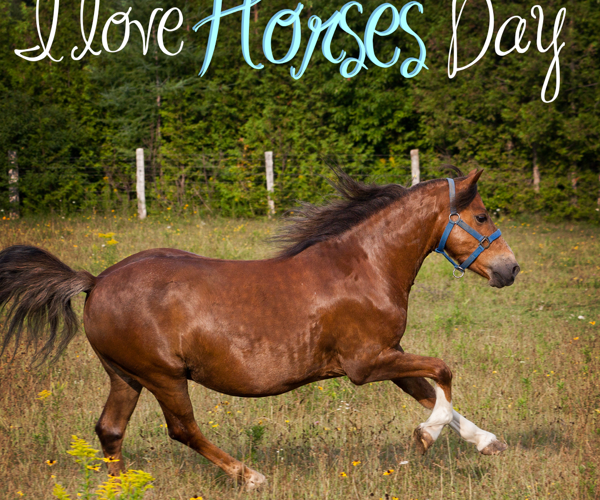 NATIONAL I LOVE HORSES DAY – July 15