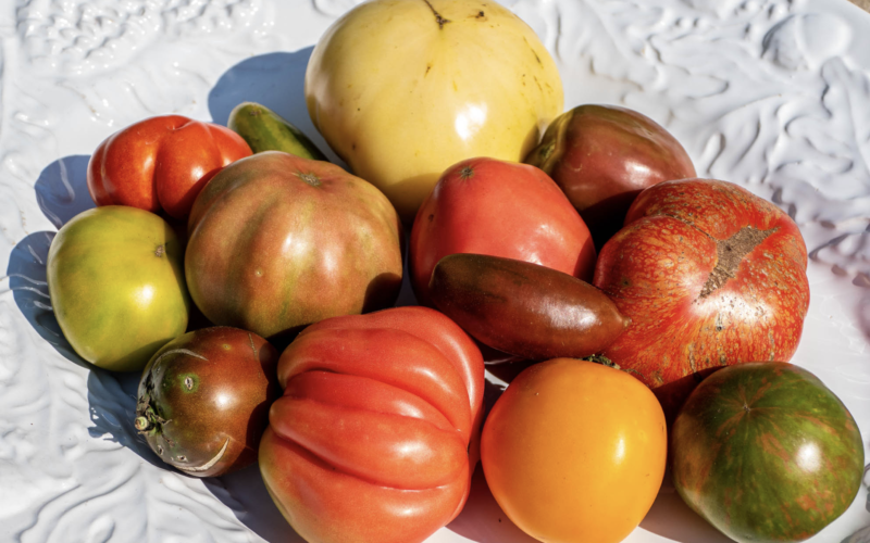 The Best Heirloom Tomatoes Are in Virginia