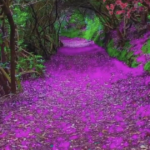 CNT Photo of the Day August 6, 2021 Follow the Pink Purple Path