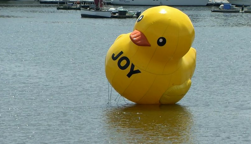 Giant rubber ducky appears in Maine harbor, leaving officials stumped
