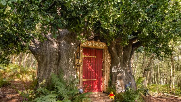 Travelers Can Now Book Winnie the Pooh-Themed House Rental