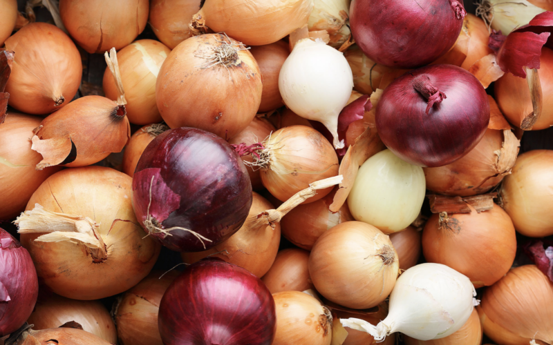 FDA & CDC Advise Throwing Out Unlabeled Onions Due to Salmonella Concerns