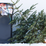 According to Tradition, You Should Leave Your Tree Up Until January 6—Here's Why