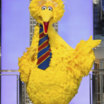 Big Bird backlash: Vaccine lands even Muppet in political flap
