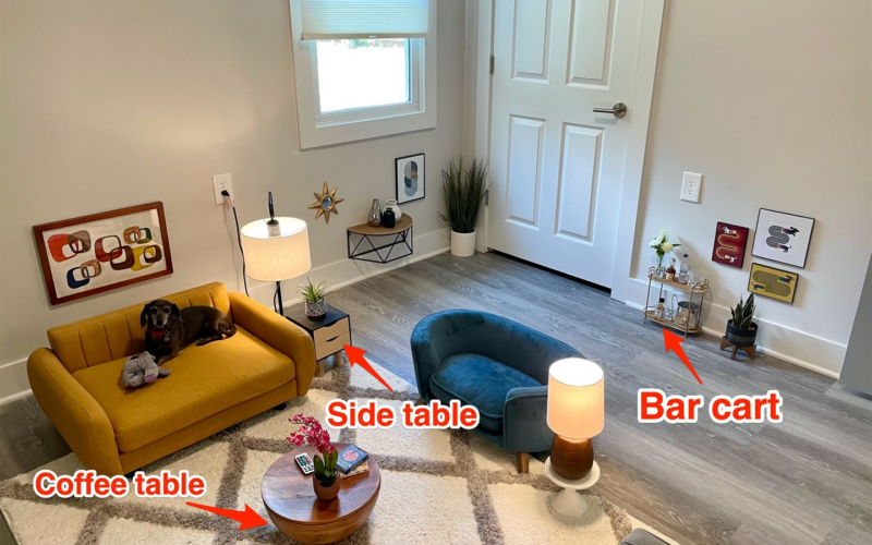 Atlanta ER doctor goes viral after creating mini living room for dogs