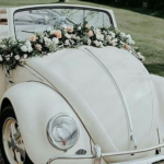 CNT Photo of the Day December 20, 2021 Wedding Bug