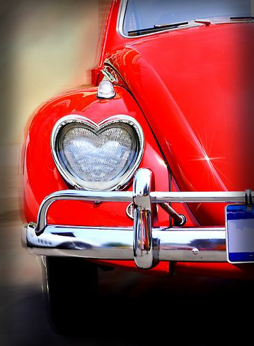 CNT Photo of the Day December 27, 2021 Love Bug