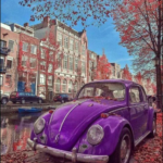 CNT Photo of the Day December 6, 2021 It's a Purple Bug Day!