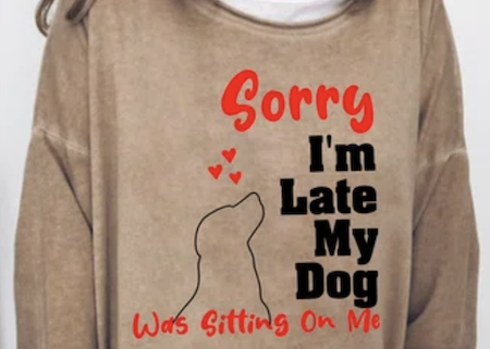 Expressions:  Sorry I am Late My Dog was sitting on me