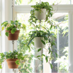 This New Kit Makes Creating a Vertical Container Garden Easier Than Ever