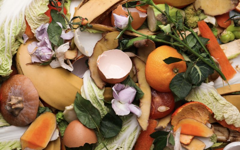What You Need to Know About California’s New Composting Law — A Game Changer for Food Waste