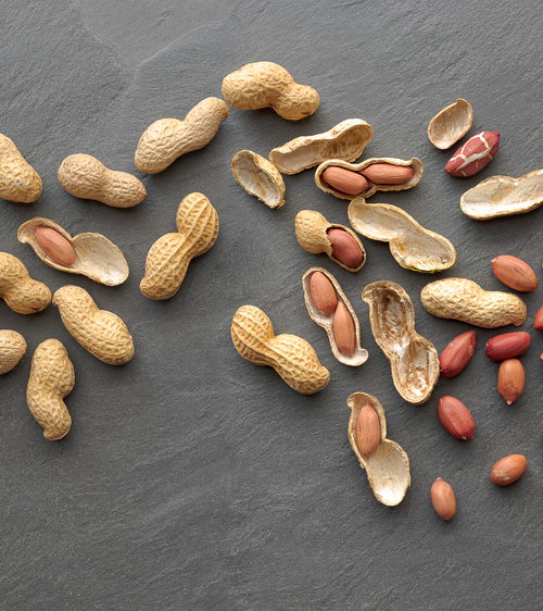 Early treatment could tame peanut allergies in small kids
