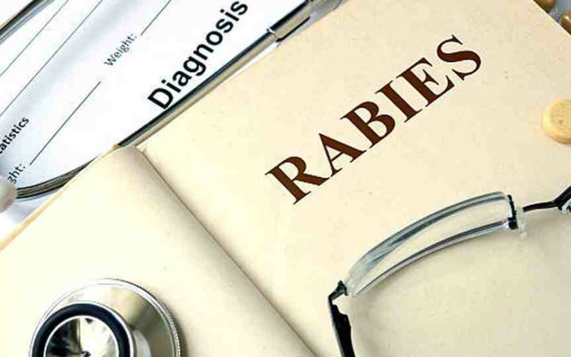 U.S. had 5 rabies deaths last year, highest total in a decade