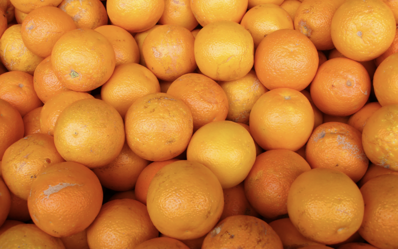 Florida's Orange Crop Will Be the Smallest Since World War II
