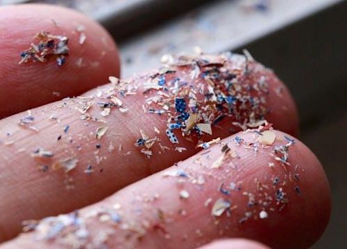 Study finds microplastics in human blood for first time