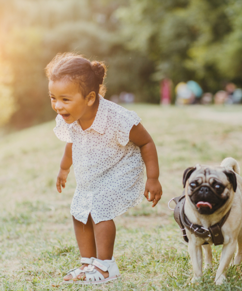 Preschoolers Do Better In Families That Have A Dog