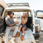 Road Trips With Your Dog – Seven Tips For A Fun and Safe Journey