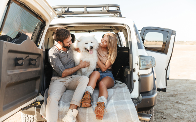 Road Trips With Your Dog – Seven Tips For A Fun and Safe Journey
