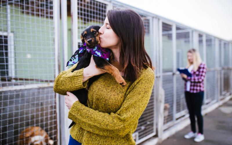 Should You Adopt a Dog from a Rescue or Purchase from a Breeder?