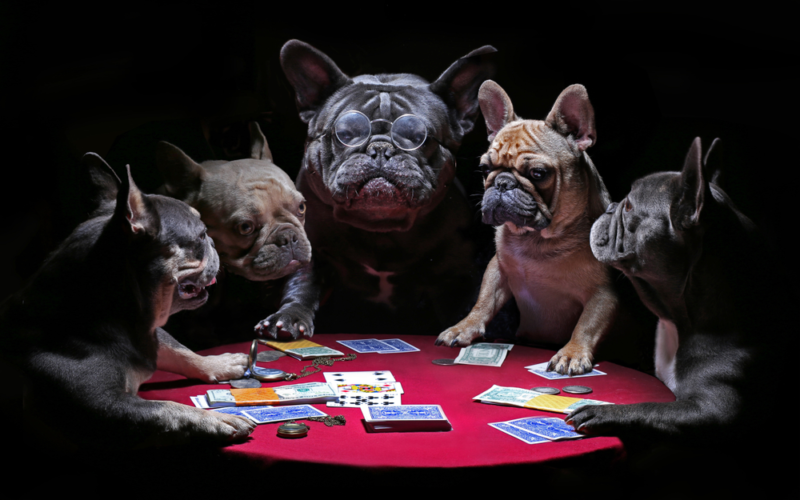Why Is There So Much Art Showing Dogs Playing Poker?