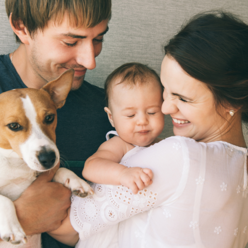 How To Introduce Your Baby To Your Dog