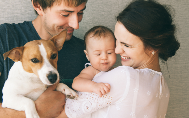 How To Introduce Your Baby To Your Dog